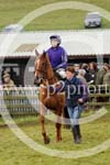 RRC15_383 copy