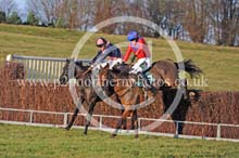 RRC19_0275 copy
