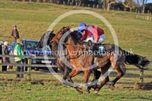 RRC19_0281 copy