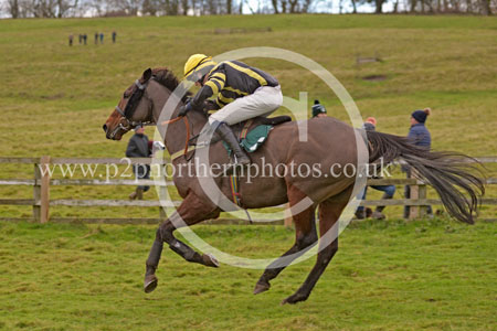 RRC23_0247 copy