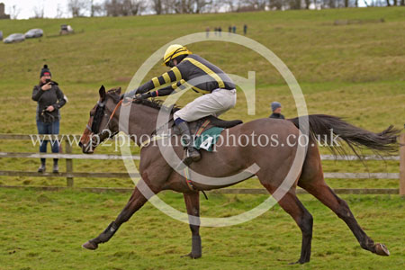 RRC23_0248 copy