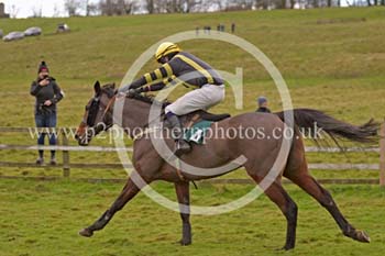 RRC23_0248 copy