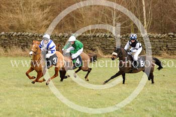 TY15_019 copy