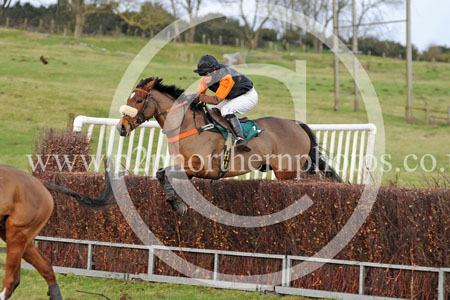 WP20_0270 copy