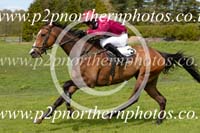 ZET15_065 copy